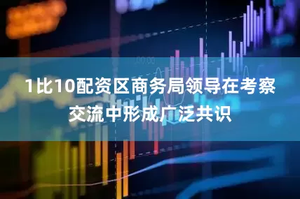 1比10配资　　区商务局领导在考察交流中形成广泛共识